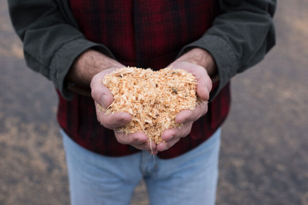 Handful of wood chips