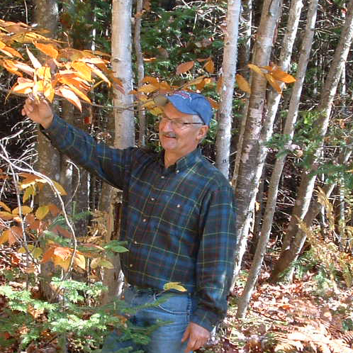 George Pozzuto, chair of the Milan Community Forest Committee