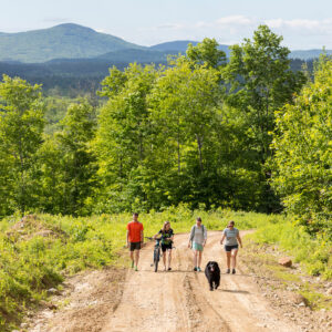 A group explores the new Bethel Community Forest in Bethel, Maine.