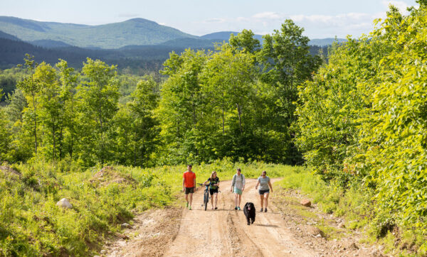 A group explores the new Bethel Community Forest in Bethel, Maine.