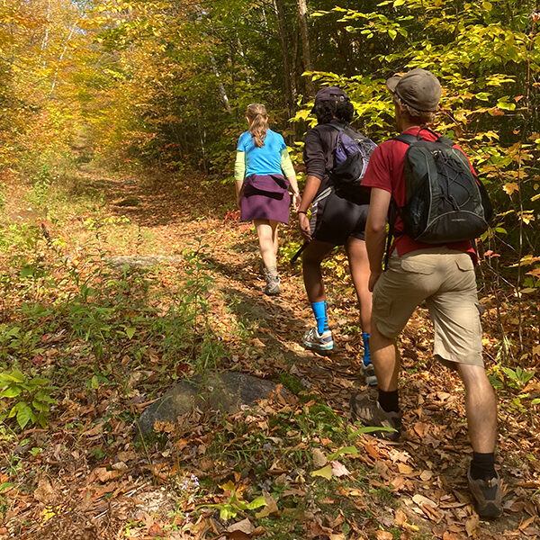A group of hikers in the woods