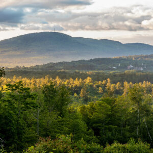 a scenic view of a clearing with a mountain in the background