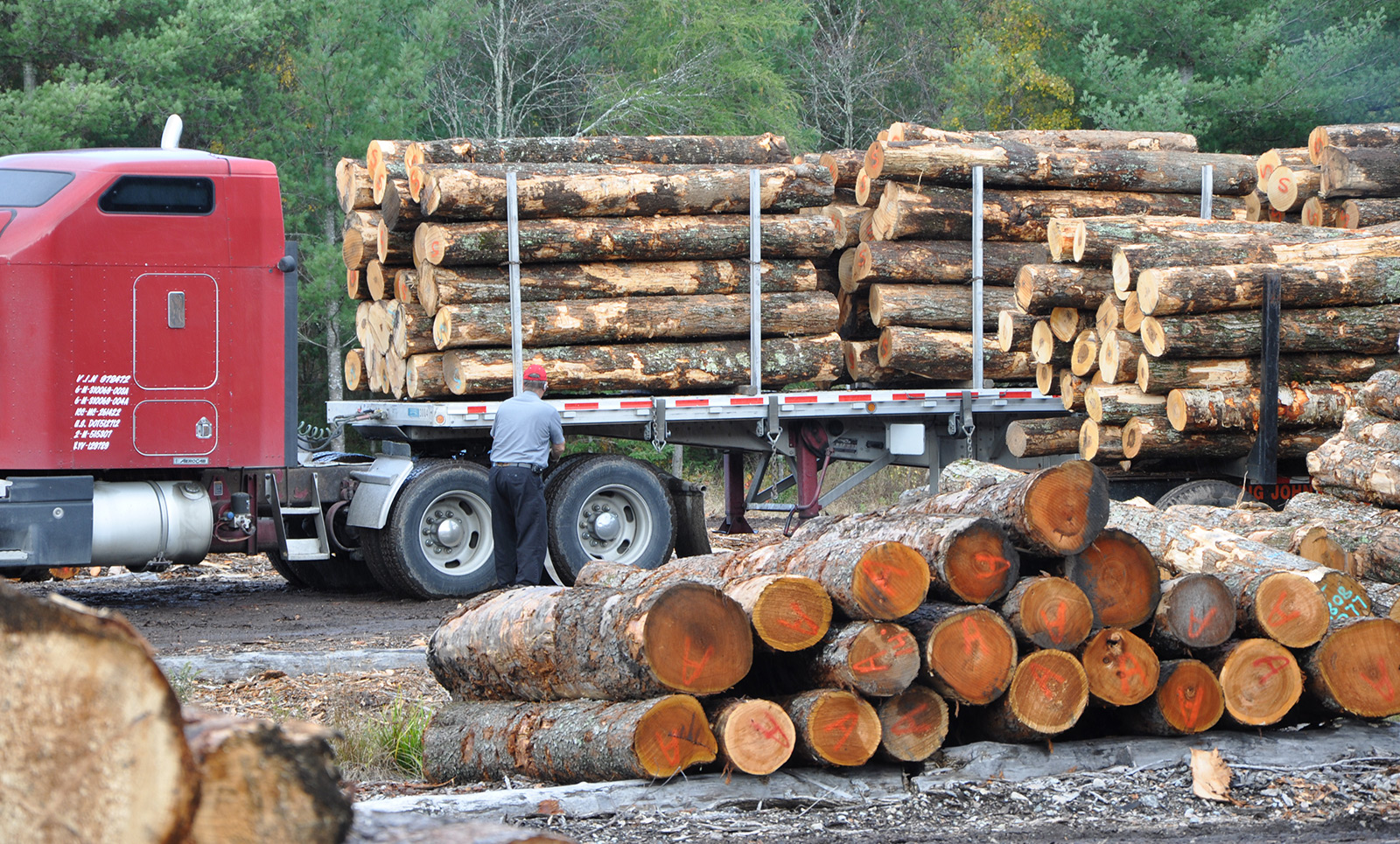 Increasing Efficiency & Production at Stratton Lumber Mill ...