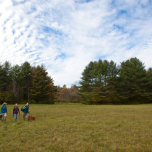 People walk in the new Mink Brook Community Forest in Hanover, NH.