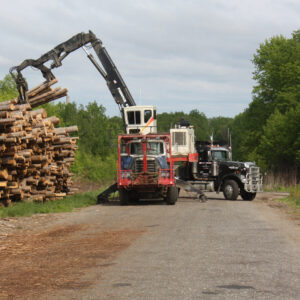 A logging operation in Maine