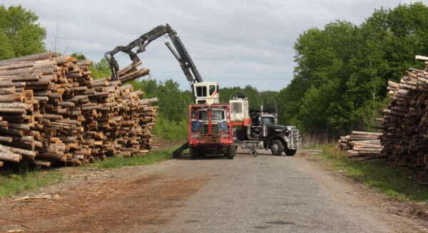 A logging operation in Maine