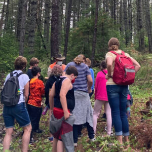Milan Village School fifth graders learn about forestry in the town's Community Forest