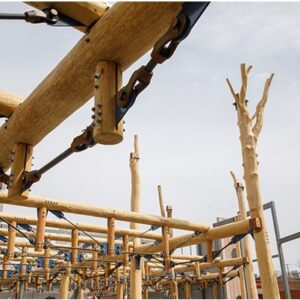 Whole maple trees used as structure for building under construction.