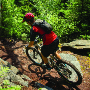 Mountain biker on trail.