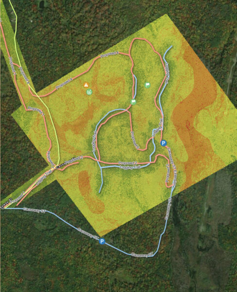 a digital map of possible new trails in a forest