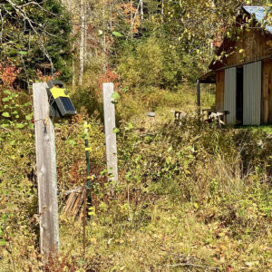 Man stands at the edge of a forest with barn and bee hives nearby.