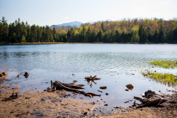 The Androscoggin River in Gorham, NH.