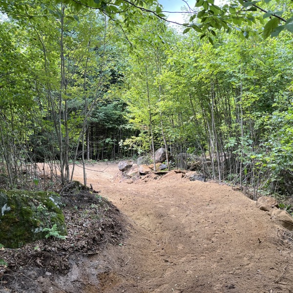 A section of new, adaptive-sports-friendly trail in Franconia, NH.