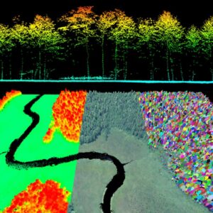 An image of a forest produced by data from LiDAR imaging.