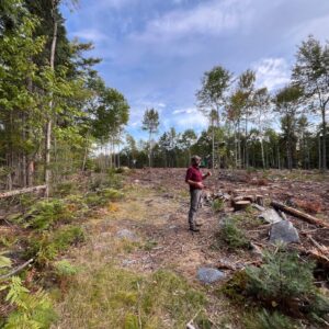 Man stands on newly logged land that will be developed for housing in Greenville, Maine.