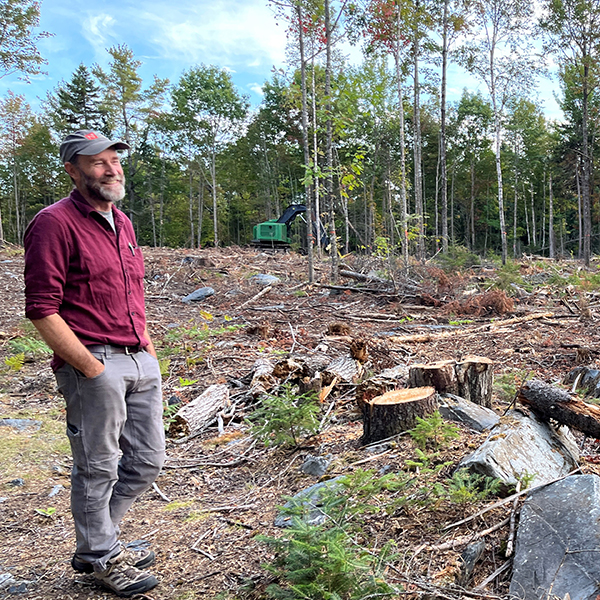 Man stands on newly logged land that will be developed for housing in Greenville, Maine.