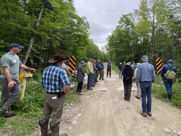 people standing on woods road talking