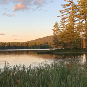 A pond in the Adirondacks glows with late afternoon sun.